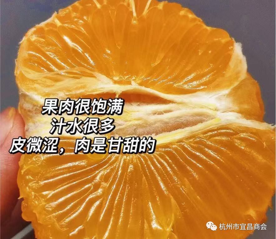 9f258947ffdf1f355bee46357b79b95b.png