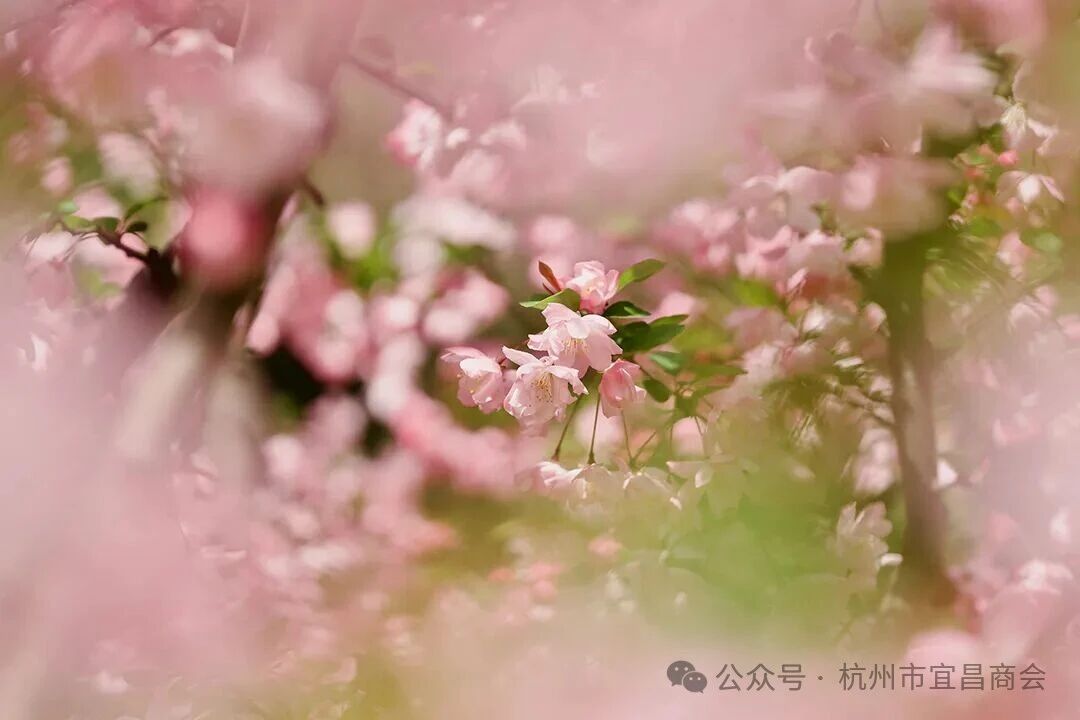 900d19c9c422b8aed3c4efb744b479d6.jpg